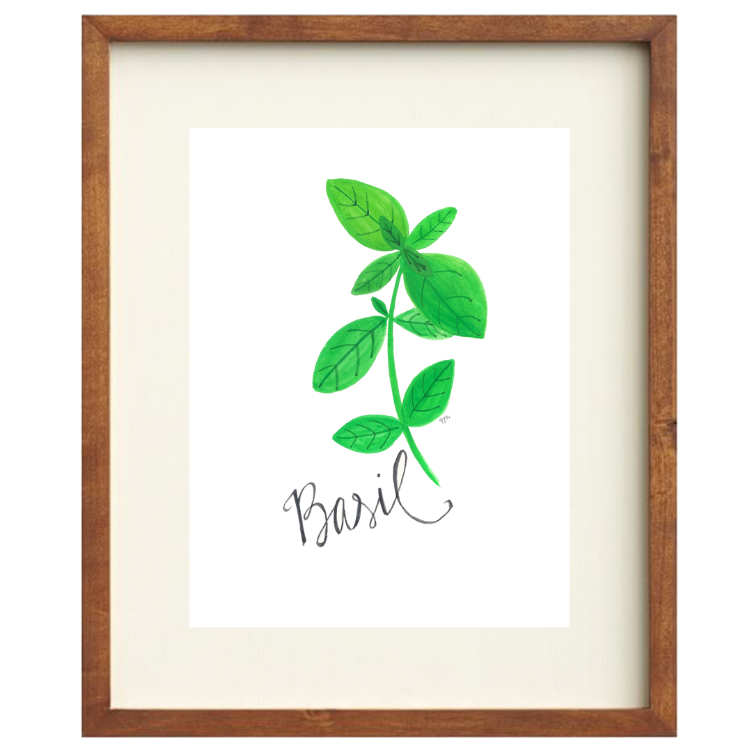 Basil Art Print